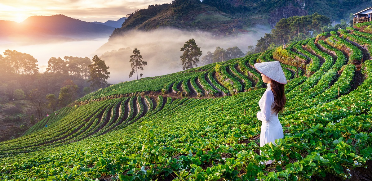 Doi-Ang-Khang, Vietnam