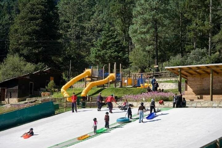 Pistas de esquí. Foto: Bosques de Monterreal Pistas de esquí. Foto: Bosques de Monterreal