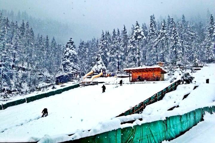 Foto Bosques de Monterreal 6 Centro Alpino en México. Foto: Bosques de Monterreal