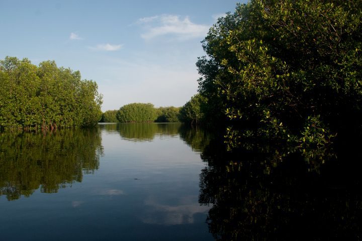 Lagunas de Chacahua, Oaxaca. Foto: JT ASTK Lagunas de Chacahua, Oaxaca. Foto: JT ASTK