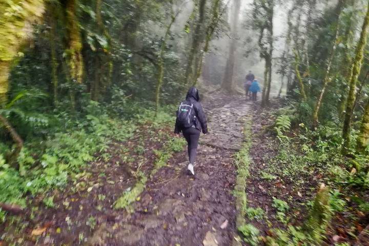 Senderismo en Catarata Gocta en Perú Foto: El Souvenir 