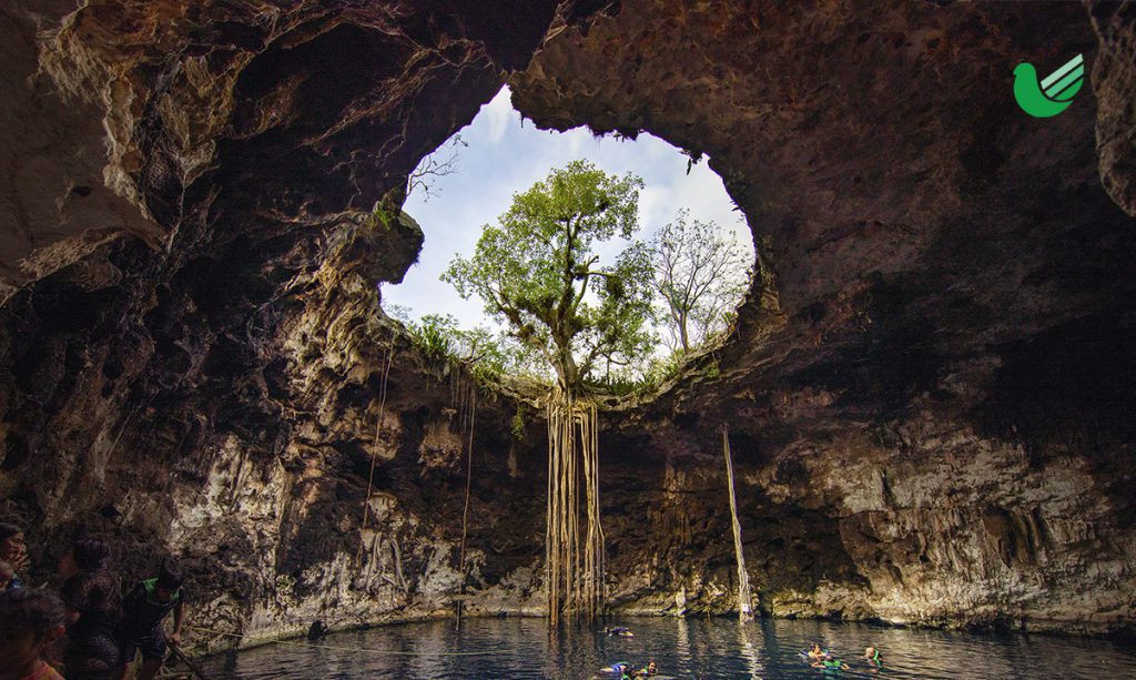 Cenotes