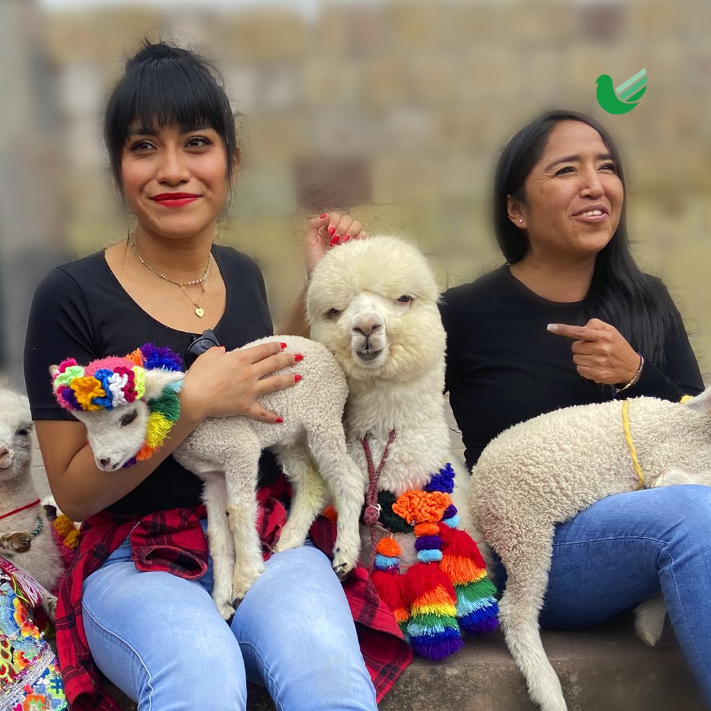 DESCUBRIENDO CUSCO