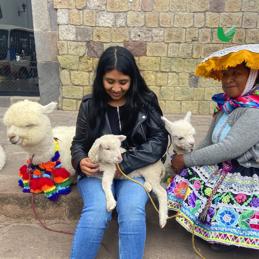 DESCUBRIENDO CUSCO