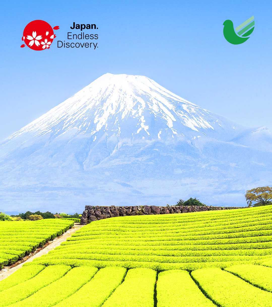 DESCUBIRNDO JAPÓN - JULIÁ TOURS - ESTACIONES 2