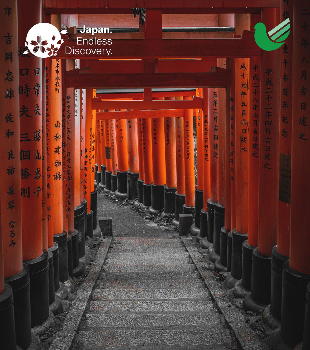 DESCUBIRNDO JAPÓN - JULIÁ TOURS - IMPERDIBLES 4