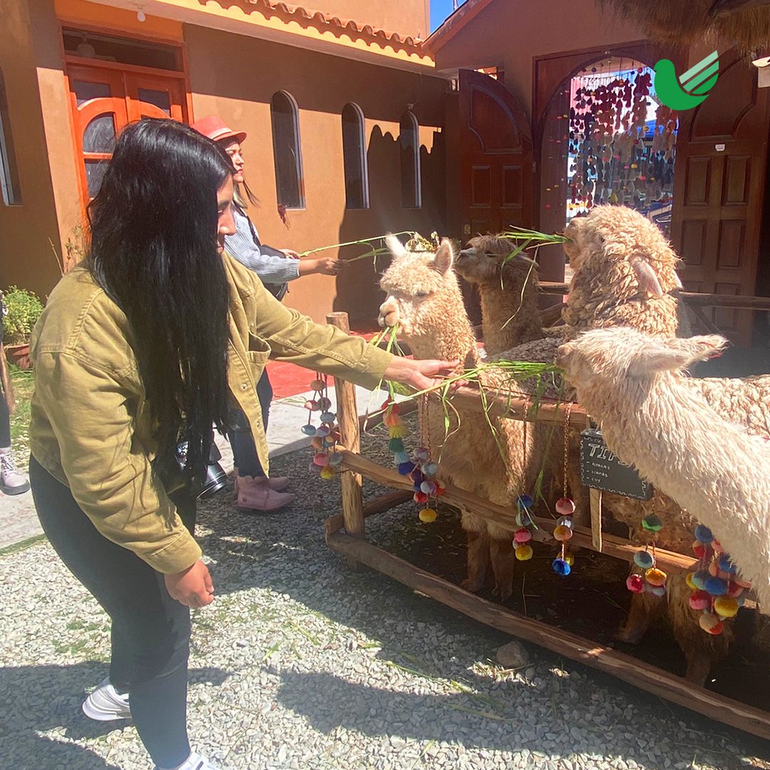 CHINCHERO 