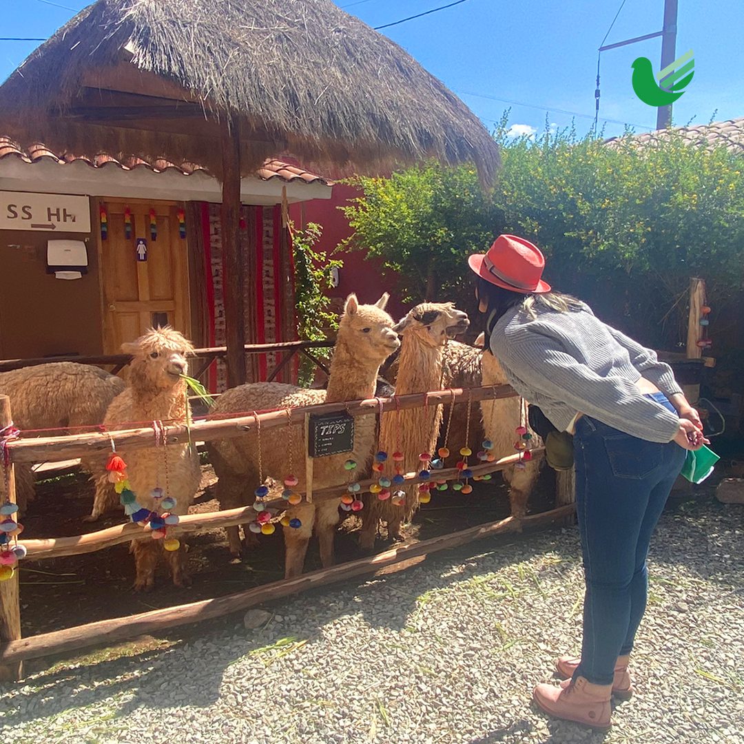 CHINCHERO 