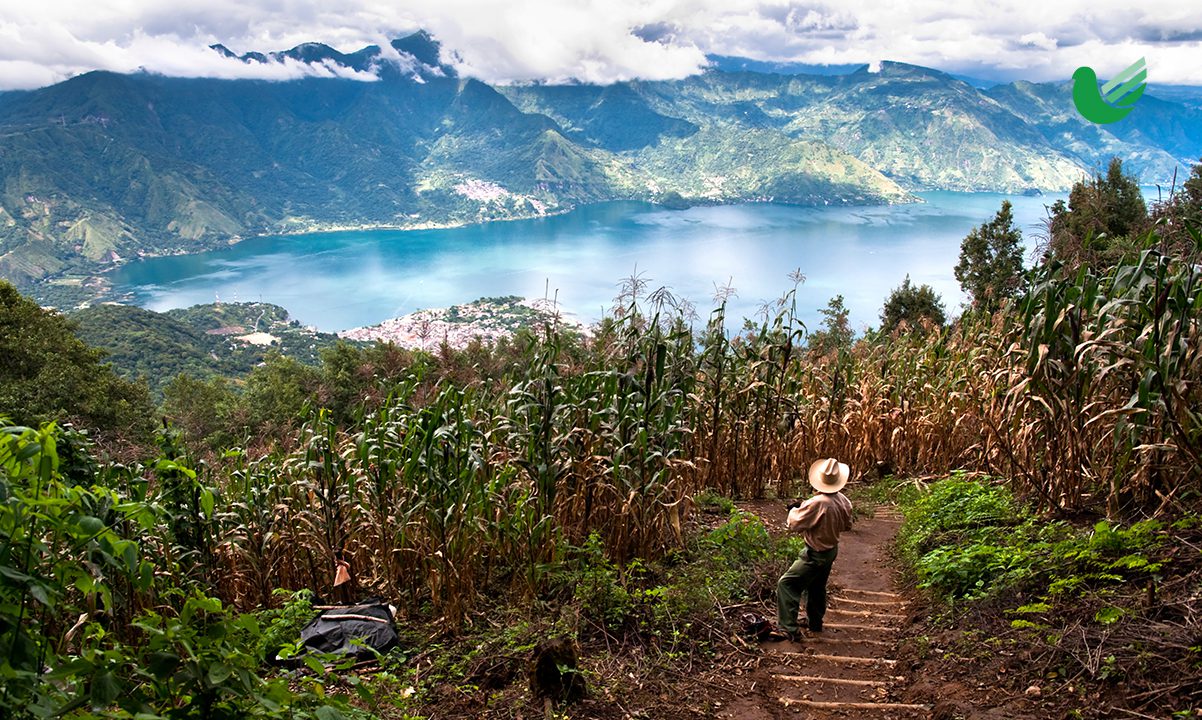 5 RAZONES PARA VISITAR GUATEMALA - ATITLA