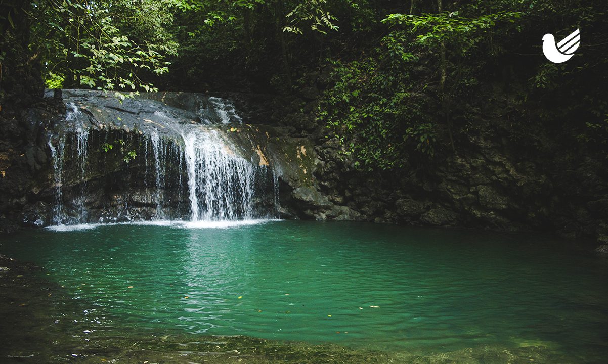5 RAZONES PARA VISITAR GUATEMALA - Rio Dulce