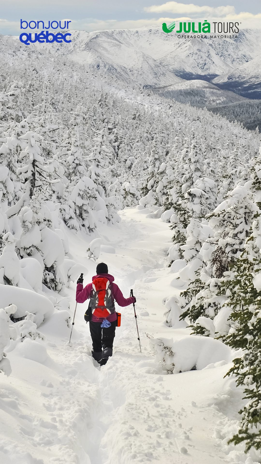 LAS MEJORES ACTIVIDADES DE NIEVE EN QUEBEC