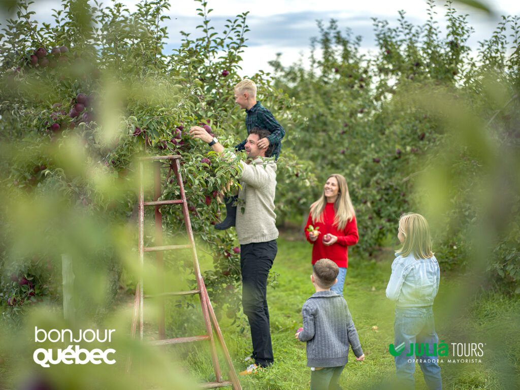 Manzanas en Rougemont El Otoño en Quebec: Un Espectáculo de Colores y Tradiciones