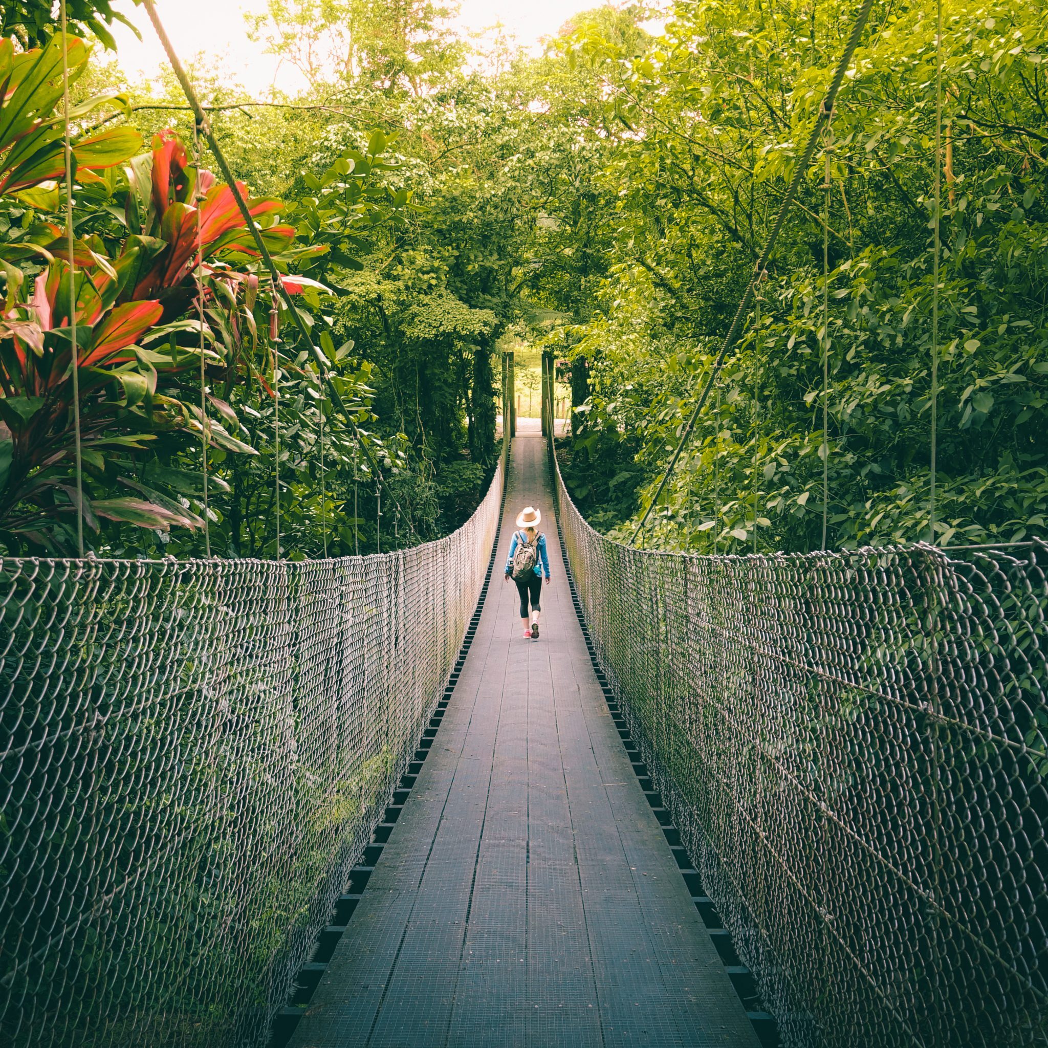 Woman walking on the bridge in the jungle of Costa Rica.
