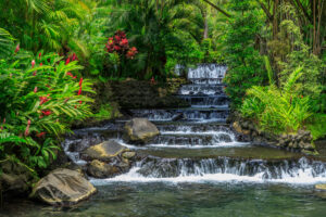 Waterfall