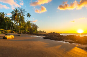 Tropical sunset along the Pacific Coast of Costa Rica with palm