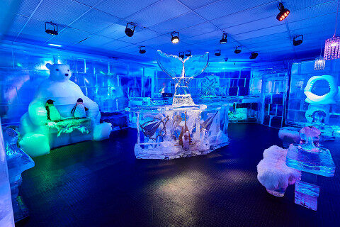 110537-interior-icebar