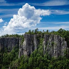 AdobeStock_392677156 (1)