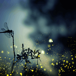 AdobeStock_185128160