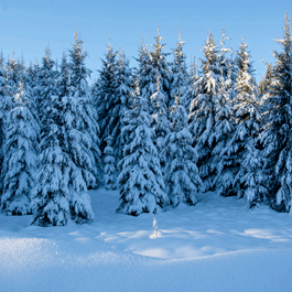 AdobeStock_479226128