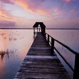 AdobeStock_72089042